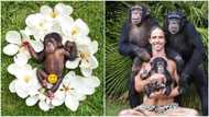 Man does photoshoot for newborn monkey as if it's human baby, photos cause frenzy online
