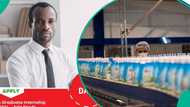 Dano Milk makers open 2026 internship scheme for Nigerians, selected candidates to get monthly pay