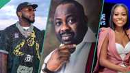 Davido vs Sophia: Dele Momodu opens up on real issue