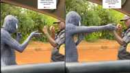 "Wetin be dis?" Funny moment when police stopped man over his Spiderman costume goes viral on TikTok