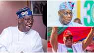 2023 presidency: How I saved Atiku from being roasted like goat by Obasanjo - Tinubu