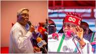 Tinubu’s victory: Atiku enlists 19 SANs, gives them powerful mandate