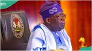 Full list of ministries created by Obasanjo, Jonathan, Buhari, Tinubu since 1999
