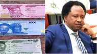 Naira Scarcity: “Enrol in Judo or Taekwondo Classes,” Shehu Sani Tells Bankers as Angry Customers Attack Banks