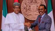 Debt crisis: Rewane lists steps for Nigeria to escape as China gives 3 conditions to Buhari or Tinubu