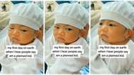 "Your ancestor": Newborn baby with attitude gives bombastic side eye, looks at people like adult