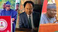 “I’m not sure of Lawan, Akpabio”: Shehu Sani reacts to video of Kenyan senators running