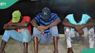 Flood: KAI officials arrest 5-man syndicate for extorting pedestrians in Lagos, videos emerge