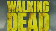 The Walking Dead : pas de saison 12, mais plusieurs spin-offs ?