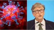 COVID-19: Gates Foundation, Wellcome pledge $300 million to improve vaccine development, research