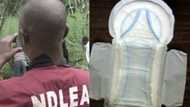 Wata sabuwa: Mata yanzu suna tafasa audugar mata suna shan ruwan don maye - NDLEA
