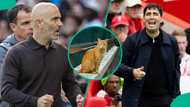 Liverpool vs Manchester City: Mysterious cat predicts Premier League match