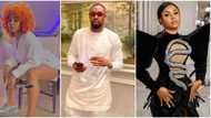 Sheggz, Bella, Phyna, other Level-Up stars who are the most talked about housemates on the show