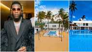 Burna Boy seen chilling in luxury beach house, vows to buy property from owners after they refused his offer