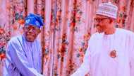Abin Da Buhari Ya Gaza Yi A Shekarunsa 8 Kan Mulki, Mataimakin Shugaban APC Ya Yi Bayani