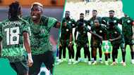 2026 FIFA World Cup: Ex-Super Eagles star places faith in Osimhen and Lookman