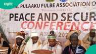 Fulani leaders present 3 demands to Tinubu over Nigeria's ₦30trn livestock sector