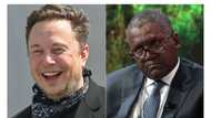 Ko gizau: Yadda Elon Musk ya yi asarar kwatankwacin dukiyar Dangote sau 3 a 2022
