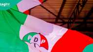 PDP ta lashe zaben kananan hukumomi 21 a Adamawa duk da gwamna ya koma APC