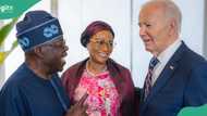 Diezani Alison-Madueke: ‘US suspicious of FG,’ Senator Yusuf speaks as America returns $52m