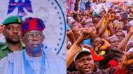 IYD 2023: Good news for Nigerian youths as Tinubu makes crucial pledge