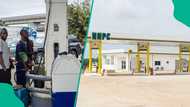 NNPC filling station crash petrol price below N900/litre after Dangote partners reduce cost