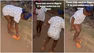 "They embarrased me": Children who returned from abroad find it strange to walk on sand, video goes viral