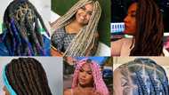 Jumbo box braids: 25 interesting looks to try out in 2024