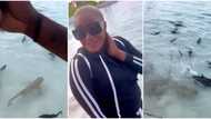 “Better fish for pepper soup”: Fans react as actress Uche Ogbodo gets excited after seeing sharks, shares video