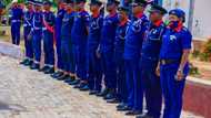 Nigeria Civil Defence: structure, corps salary and rank in 2024