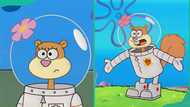 How old is Sandy Cheeks supposed to be in the SpongeBob franchise?