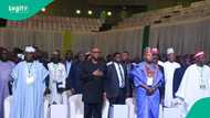 NDC: Yaron Atiku ya nemi ADC, PDP da sauran jam’iyyu su taya Obi da Kwankwaso fada