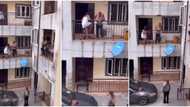 Wife Catches Husband Cheating, Tells Side Chick to Jump Down from Building, Video Trends