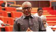 Resignation: Igbo group comes for Abaribe, asks him to apologise to Nigerians