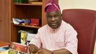 APC senator opens up on National Assembly's possible impeachment of President Buhari