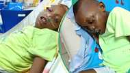 “10-year-old son needs ₦19m for life-saving kidney transplant,” Teacher cries Out for help