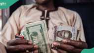 Trades, banks sell dollar at new exchange rate as Naira crashes again in all FX markets