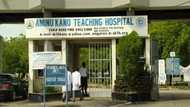 Lassa fever: Panic in Kano state as 3 die, 292 placed on watchlist