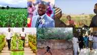 From class to farmland: How agriculture is saving Nigerian youths from massive unemployment crisis (feature)