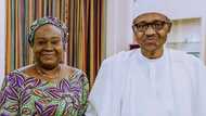 Civil servants are more corrupt than politicians, senators tell Buhari