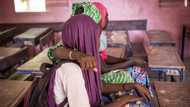 Victims of sexual abuse to get access to support services, says Foundation