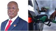Petroleum minister, Timipre Sylva, makes significant statement on fuel subsidy, Nigerian economic situation