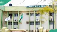 Civil service recruitment: FG releases another instruction to all applicants amid viral scam message