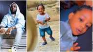 "He looks so much like Ifeanyi: Viral video of toddler who looks like Davido's late son sparks reactions