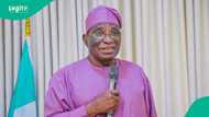 Tsohon gwamna ya yi ƙoƙarin hure wa yan Najeriya kunne kan shirin dawo da tallafin fetur