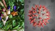 Processes are ongoing to harness herbal medicine for Covid-19 cure - FG set to take Madagascar way