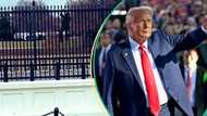 "Trump's home": Video trends as man attempts to scale White House fence