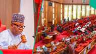 Full list of 9 top Nigerian senators who defected to ADC ahead of 2027 election and the parties they left