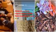 With or without onion? Fans react as Wizkid demands for N1 million worth of suya upon his arrival in Lagos