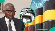 Dangote battles importers as Nigeria spends $1.26bn on fuel import, others in 3 months